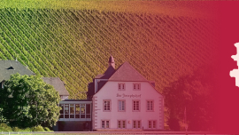 Stimmungsbild LK Rhein-Pfalz-Kreis