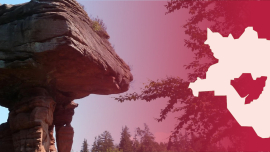 Stimmungsbild LK Südwestpfalz