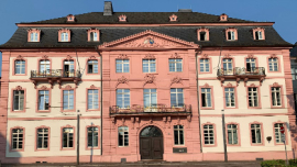 Symbolbild für MdI
